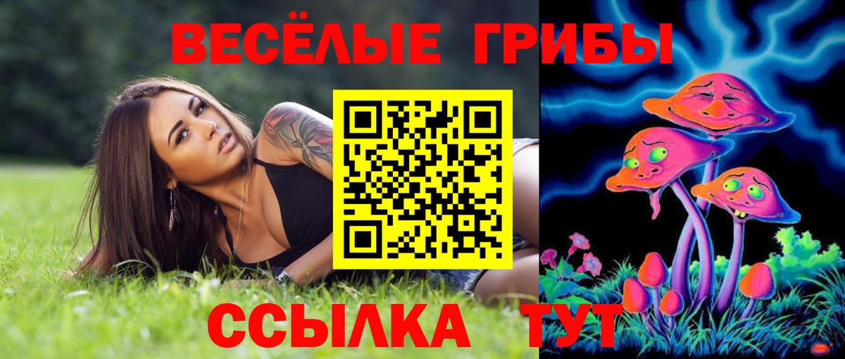 Протвино  Галлюциногенные грибы Psilocybine cubensis  Вход с VPN 